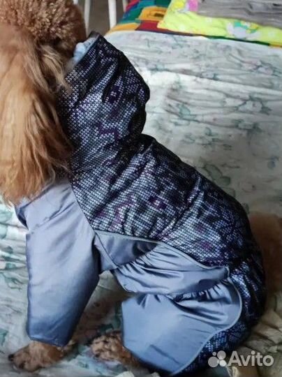 Зимний комбинезон для собак мелких пород