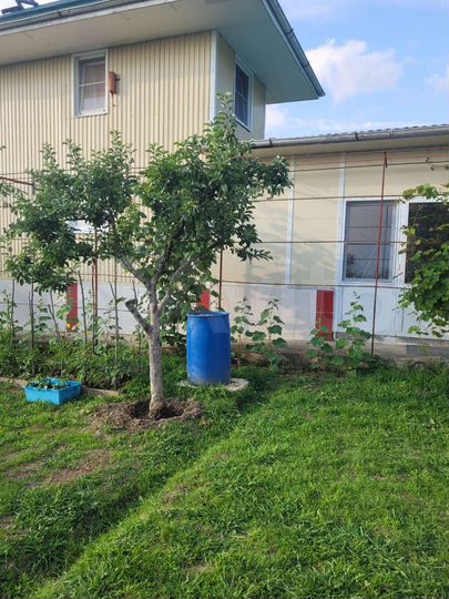 Участок 10,9 сот. (ИЖС)