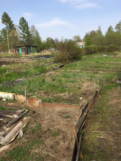 Участок 10 сот. (СНТ, ДНП)