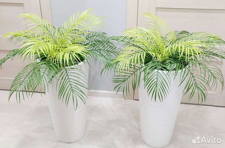 Фито картина, фито панно