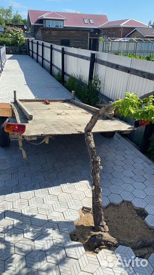 Прицеп легковой