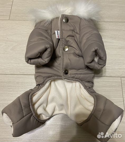 Одежда для собак мелких пород