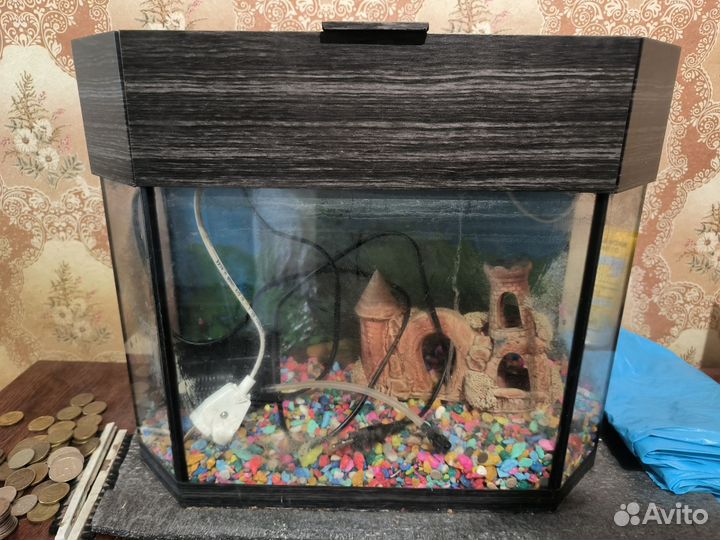 Аквариум