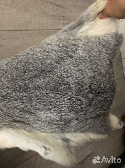 Шкурки кроличьи