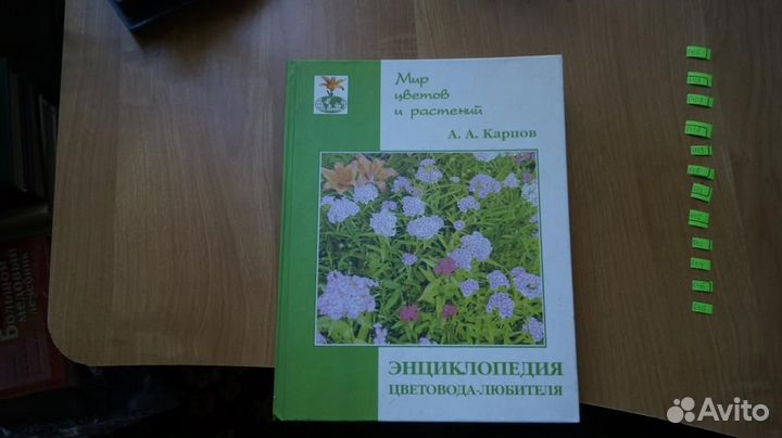 А. А. Карпов. энциклопедия цветовода-любителя 2003