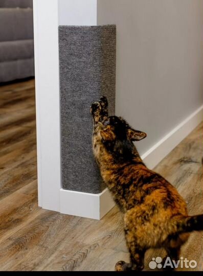 Когтеточка для кошек