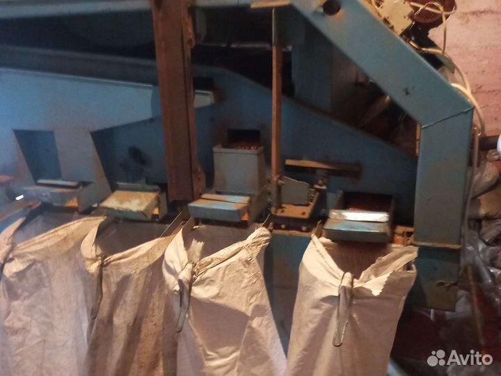 Просо красное