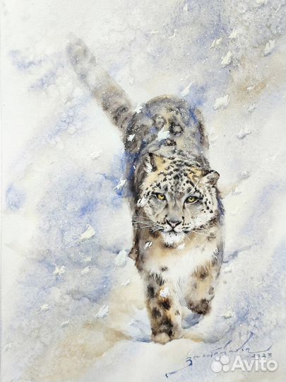 Картина снежный барс ирбис. Картина хищник