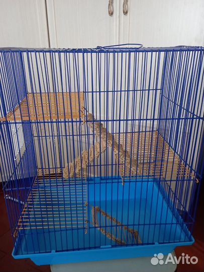 Клетка для грызунов крыс