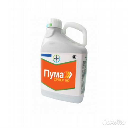 Пума Супер 100, кэ