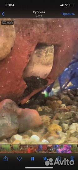 Аквариум 20 л