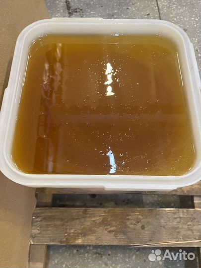 Свежий мёд Разнотравье светлое Качка 2023 опт