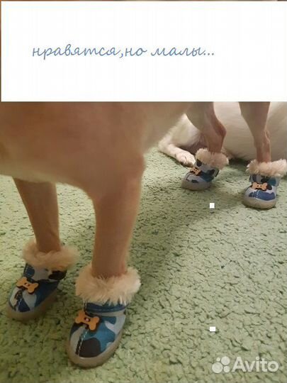 Ботиночки