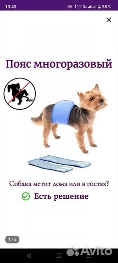 Многоразовый пояс для собак