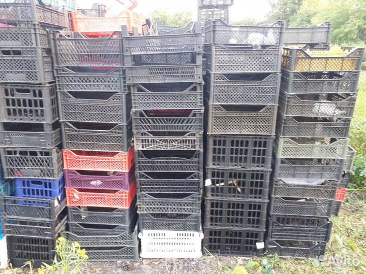 Пластиковые ящики для овощей бу