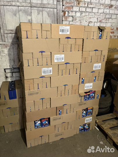 Корм для кошек и котов