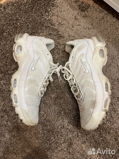 Кроссовки nike air max tn plus
