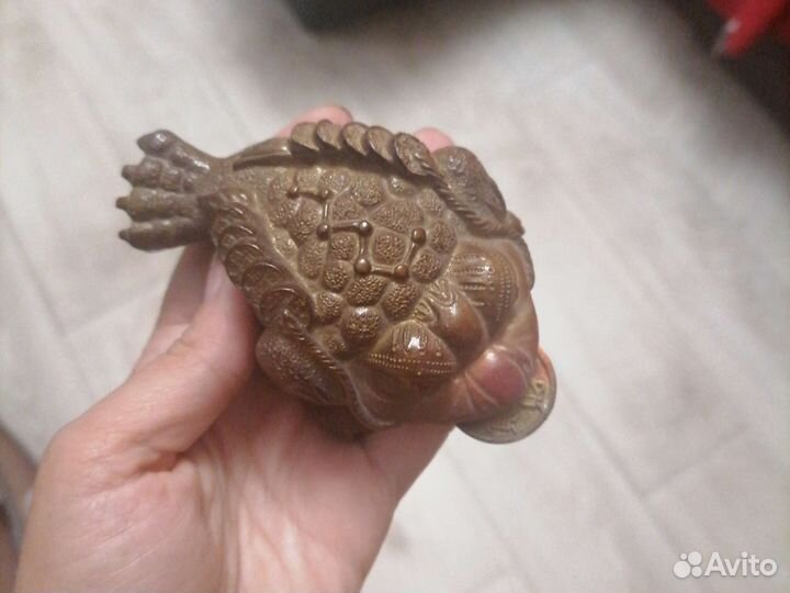 Лягушка чайная