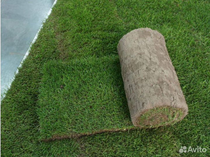 Газон рулонный от производителя спортивный