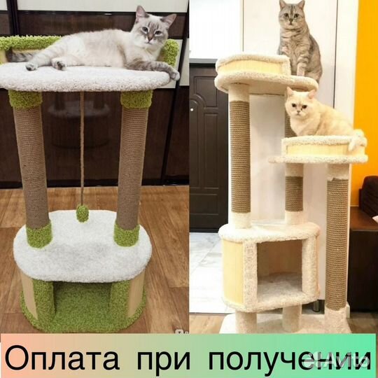 Когтеточка