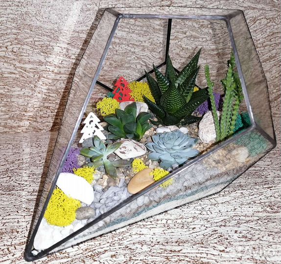 Флорариум капля, подарок с wow эффектом