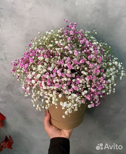 Гипсофилы для девушки