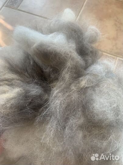 Продам шерсть собачью