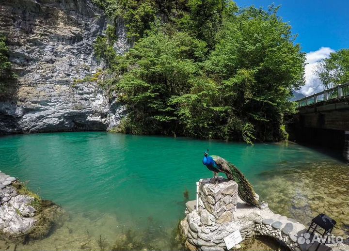 Абхазия(Золотое кольцо)