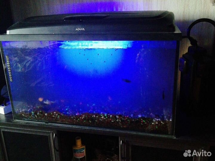 Аквариум с оборудованием