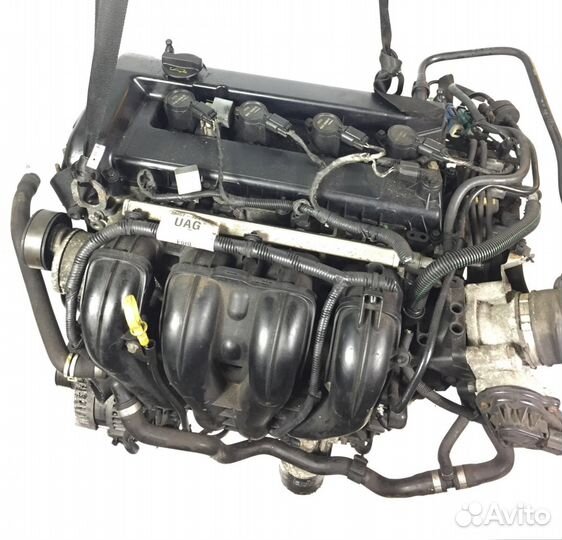 Двигатель Ford Focus 2 1.8 qqda