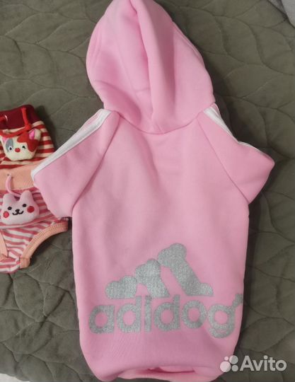 Одежда для собак