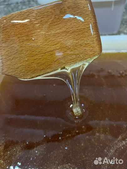 Разнотравье светлое.Свежий мёд оптомКачка 2023г