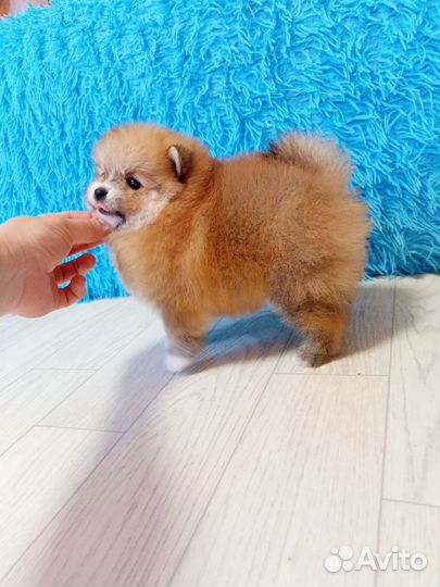 Девочка и мальчик