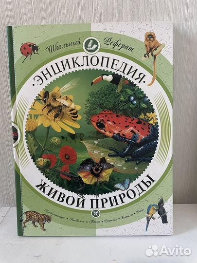 Детские развивающие книги
