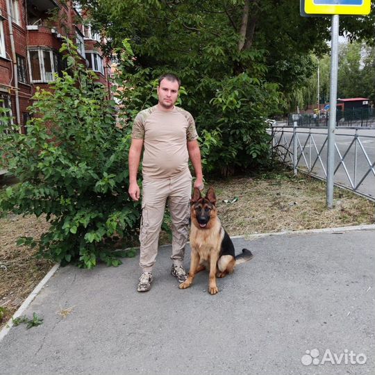 Водитель категории вс