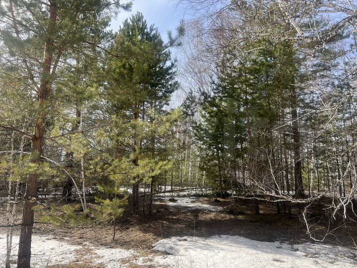 Участок 58,1 га (ИЖС)