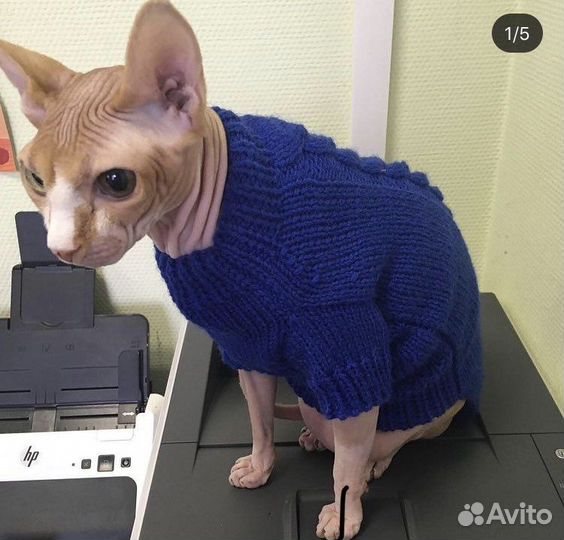 Свитер для сфинкса ручной работы