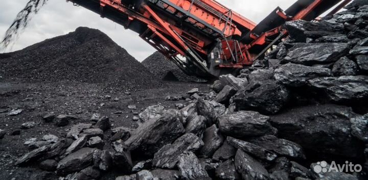 Уголь др орех дпк. Доставка угля