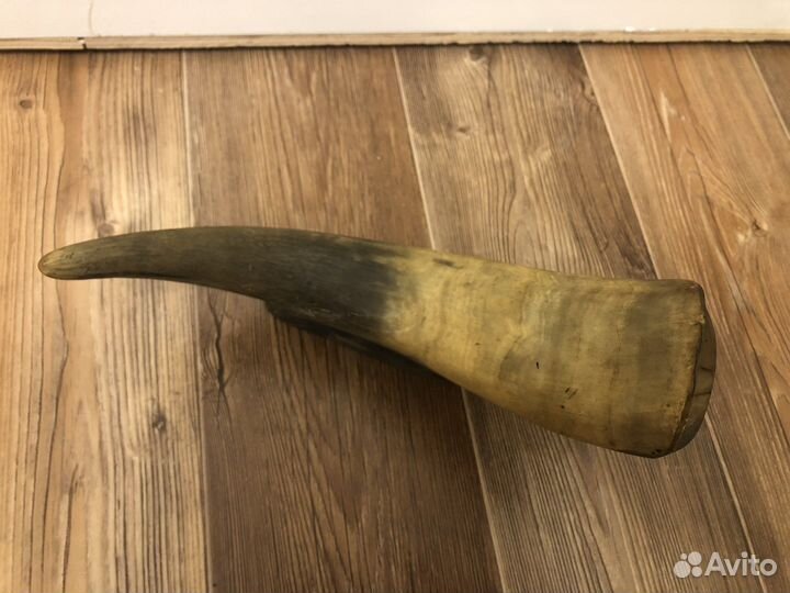 Рог на подставке