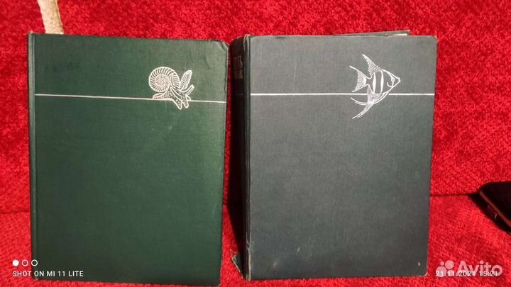 Книга Жизнь животных 2 тома СССР