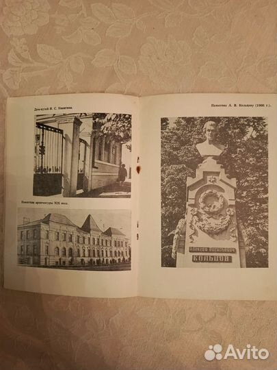 Книга Воронеж Памятники города