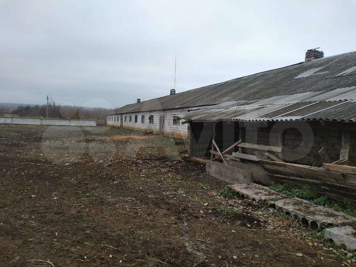 Участок 1,3 га (СНТ, ДНП)