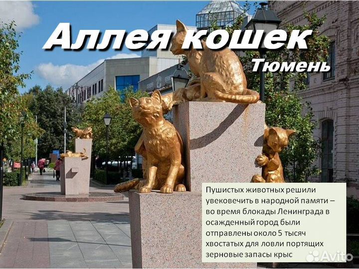 1 дек 23 тур В Терма комплекс лето лето хп3039.06