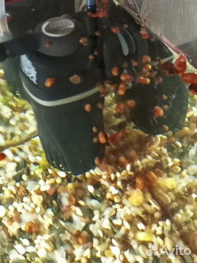 Улитки катушки