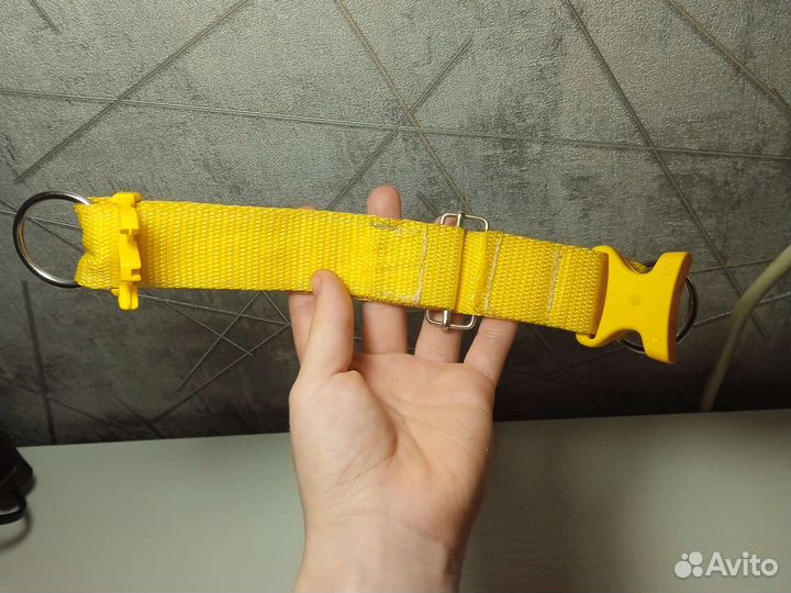 Ошейник для собаки