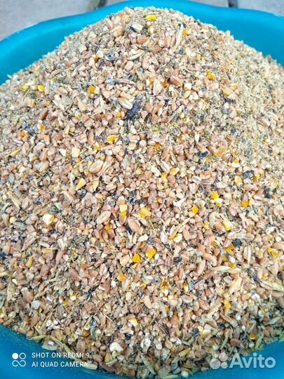 Сбалансированный корм для кур несушек