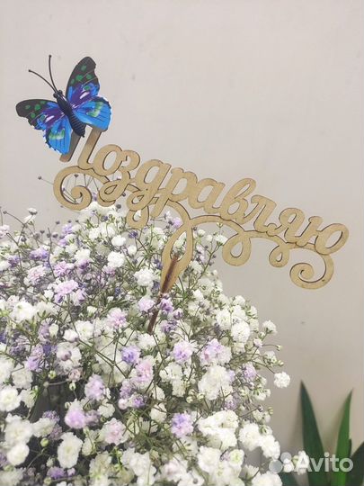 Коробка гипсофилы