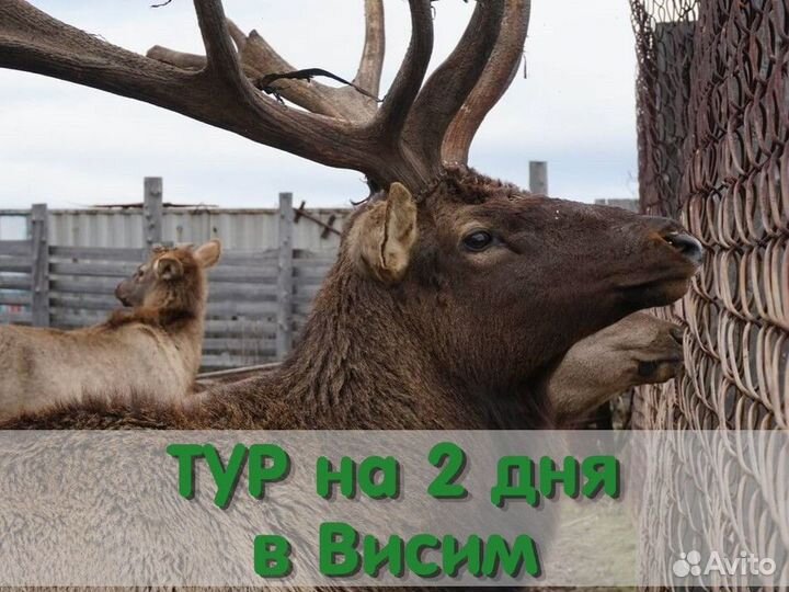 Готовый тур на 2 дня по Уралу для всей семьи