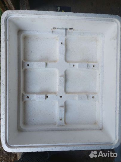 Инкубатор несушка