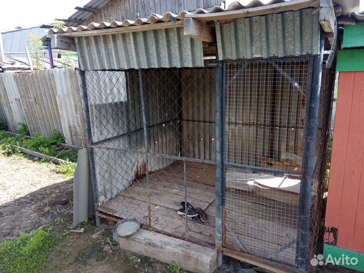 Вольер для собак бу уличный